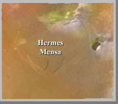 Hermen3.jpg (6635 bytes)
