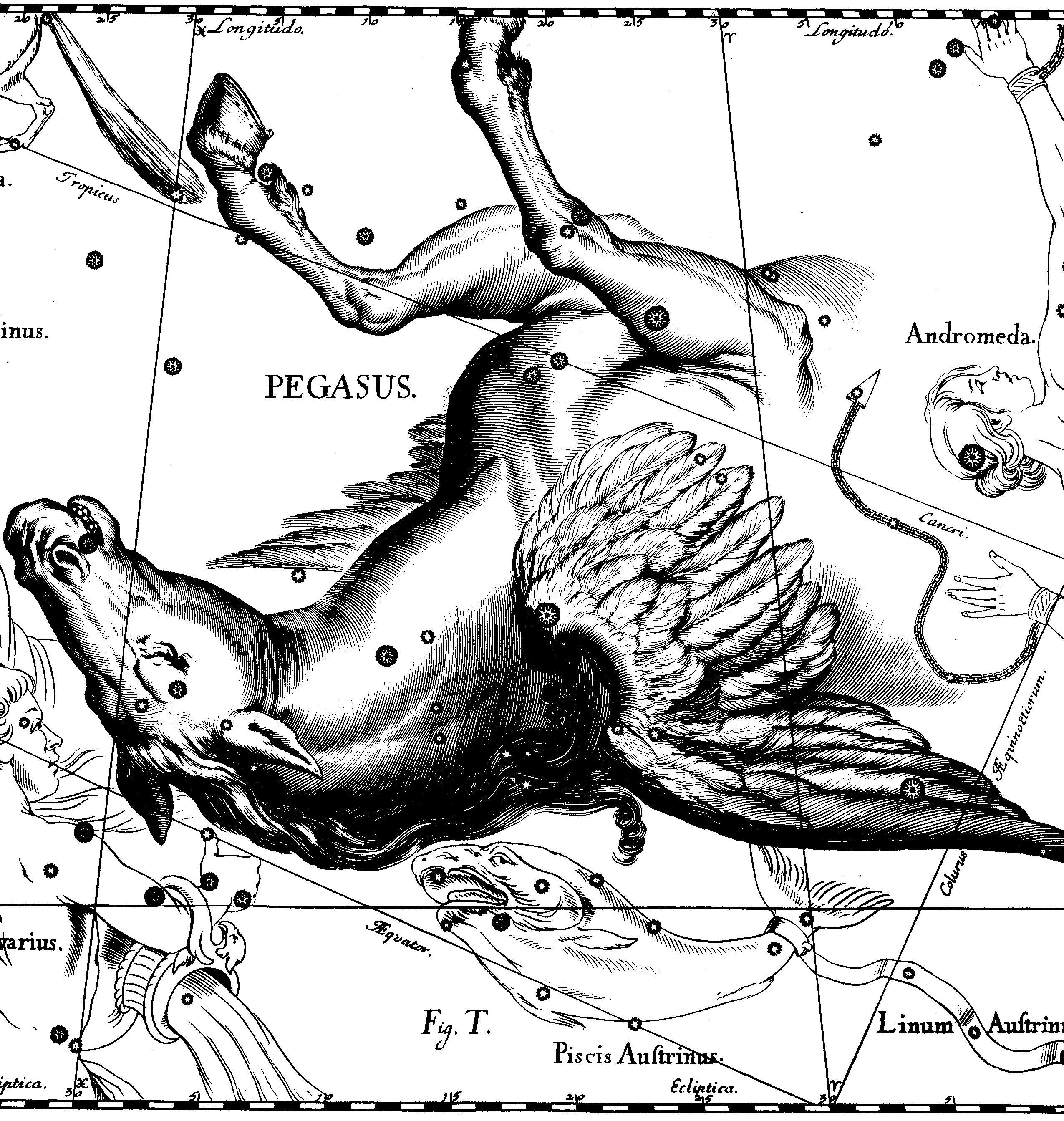Пегас на атласе Гевелия